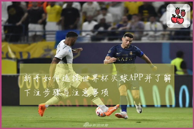 新手如何选择世界杯买球APP并了解下注步骤与注意事项