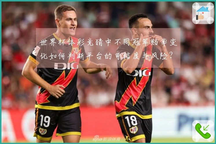 世界杯体彩竞猜中不同冠军赔率变化如何判断平台的可信度与风险？