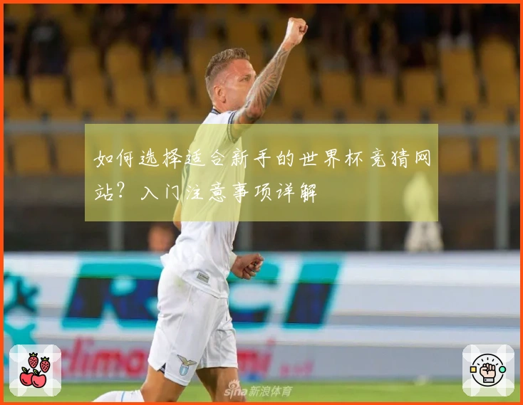 如何选择适合新手的世界杯竞猜网站？入门注意事项详解