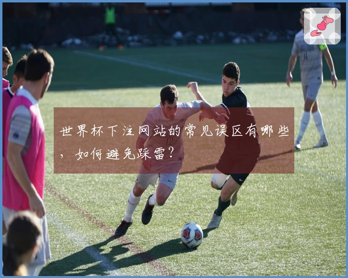 世界杯下注网站的常见误区有哪些，如何避免踩雷？
