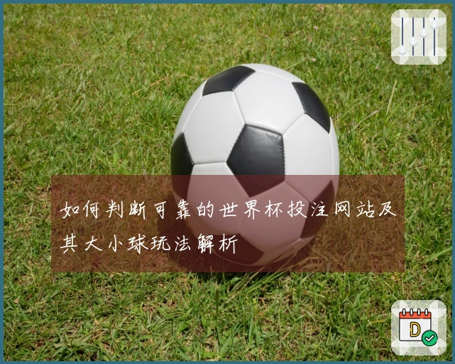 如何判断可靠的世界杯投注网站及其大小球玩法解析
