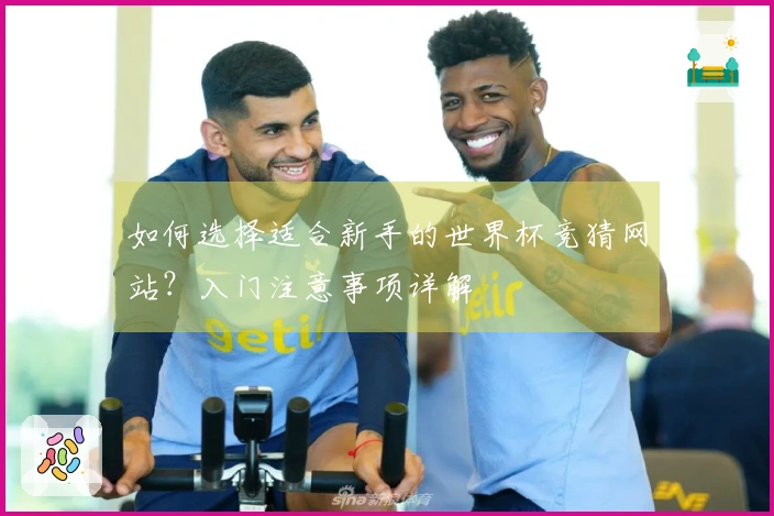 如何选择适合新手的世界杯竞猜网站？入门注意事项详解