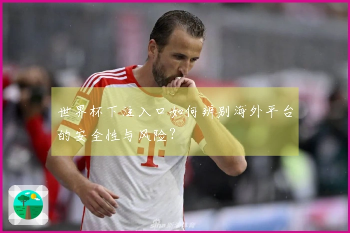 世界杯下注入口如何辨别海外平台的安全性与风险？