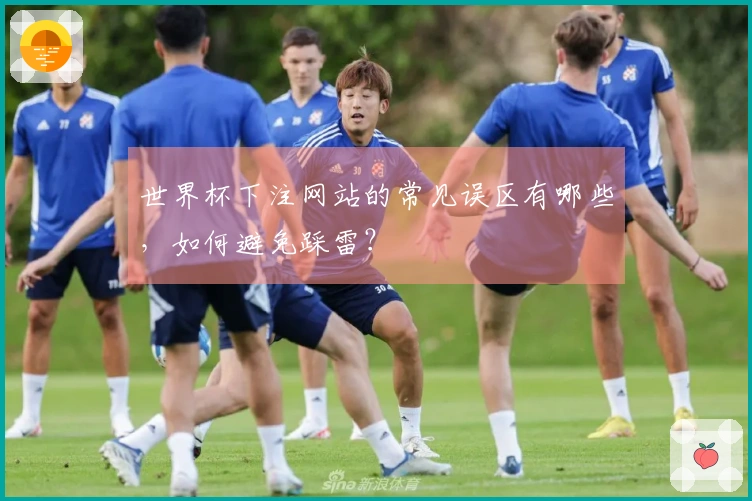 世界杯下注网站的常见误区有哪些，如何避免踩雷？